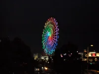 SAM_3842.webp