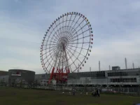 SAM_3805.webp