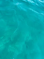 IMG_5175.webp