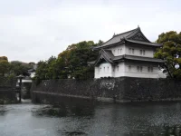 SAM_3877.webp