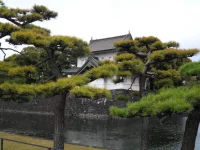 SAM_3878.webp