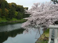 SAM_3885.webp