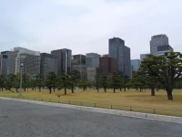 SAM_3886.webp