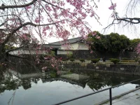 SAM_3888.webp