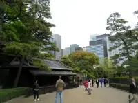 SAM_3894.webp
