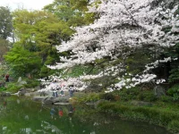 SAM_3902.webp