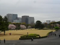 SAM_3911.webp