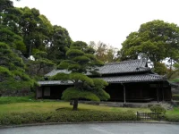 SAM_3918.webp