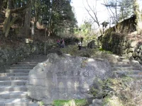 SAM_3960.webp