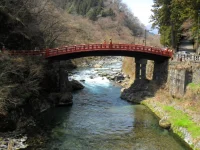 SAM_3956.webp