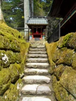 SAM_3978.webp