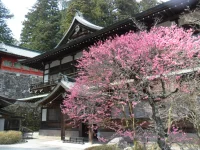 SAM_4016.webp