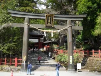 SAM_4026.webp