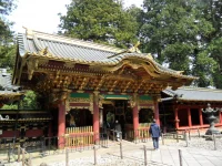 SAM_4053.webp