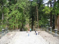 SAM_4054.webp