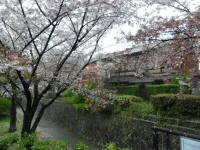 SAM_4069.webp