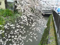 SAM_4070.webp