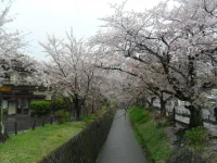 SAM_4071.webp