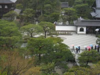 SAM_4095.webp