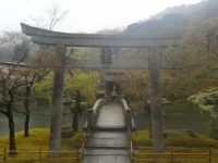 SAM_4171.webp