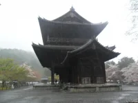 SAM_4179.webp