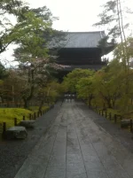 san (1).webp