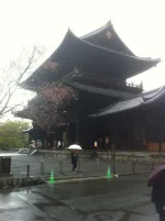 san (6).webp