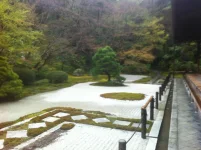 san (10).webp