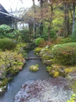 san (18).webp