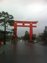 san (26).webp