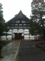 san (55).webp