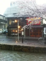 san (72).webp