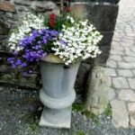 IMG_20250809_093326.webp