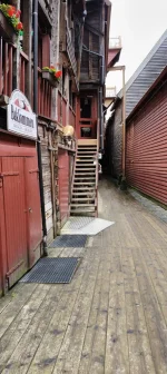 1000013300.webp