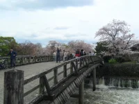 SAM_4269.webp