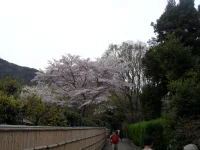 SAM_4300.webp