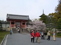 SAM_4328.webp