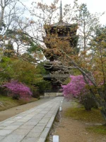 SAM_4333.webp