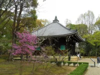 SAM_4336.webp