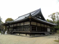 SAM_4337.webp