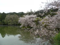 SAM_4341.webp