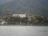 SAM_4397.webp