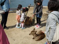 SAM_4408.webp