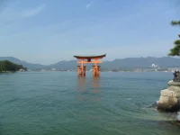 SAM_4410.webp