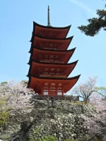 SAM_4416.webp