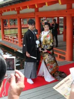 SAM_4440.webp