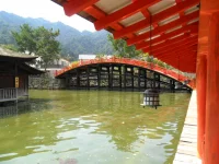 SAM_4447.webp