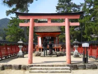 SAM_4449.webp