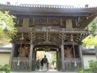 SAM_4453.webp