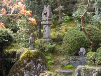 SAM_4465.webp